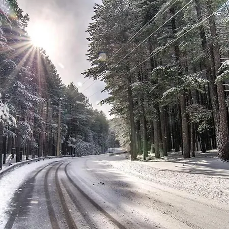 Anthea Nocleg ze śniadaniem Linguaglossa