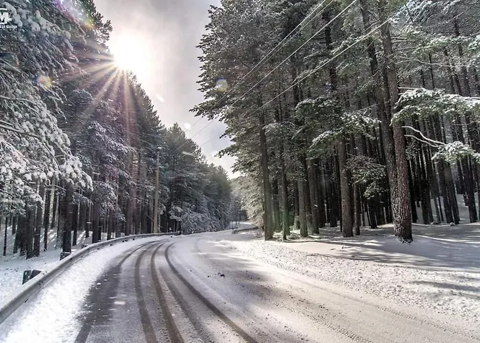 Anthea Bed & Breakfast Linguaglossa