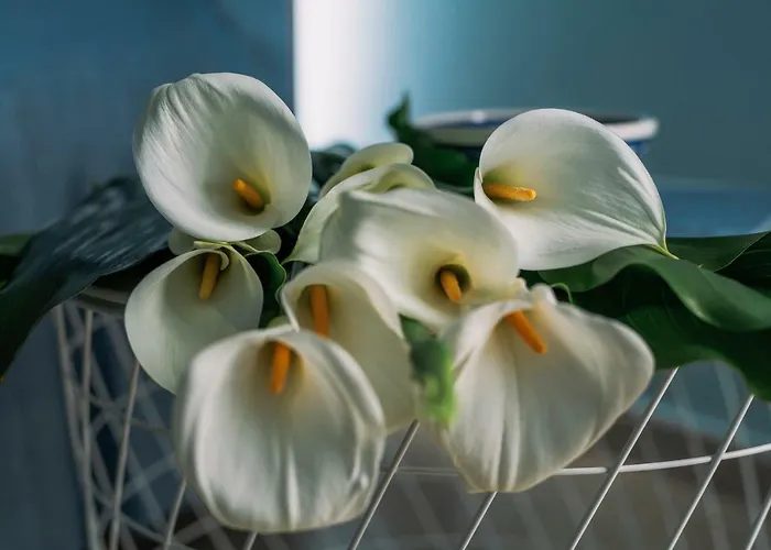 Bed & Breakfast Anthea Linguaglossa