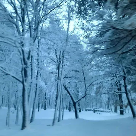 Anthea לינה וארוחת בוקר לינגואגלוסה