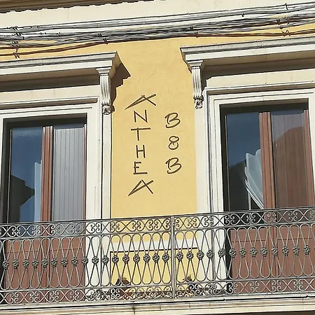 Anthea לינגואגלוסה