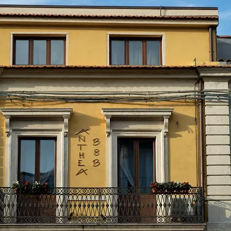 Anthea לינגואגלוסה